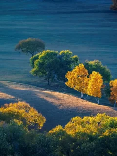 Paisaje