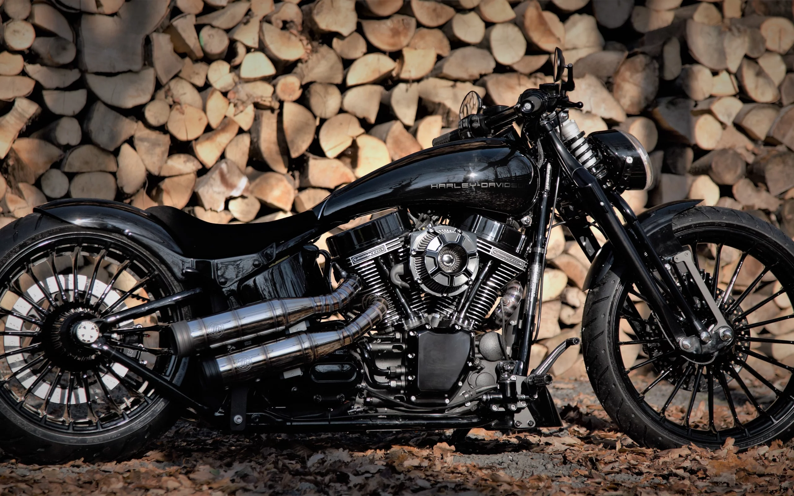 Harley