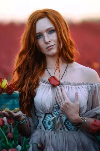 Тюльпаны