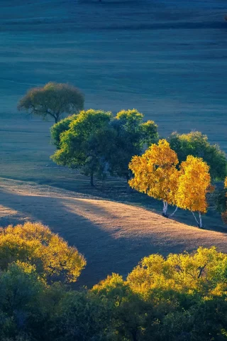 Paisaje