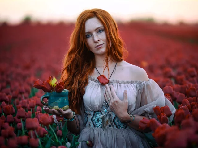 Тюльпаны
