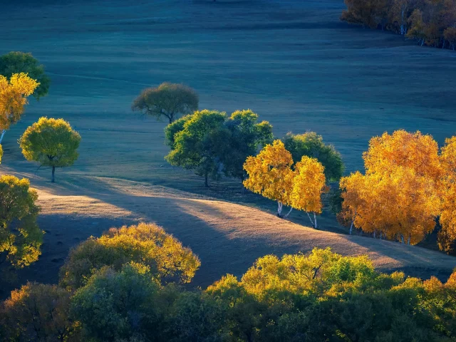 Paisaje