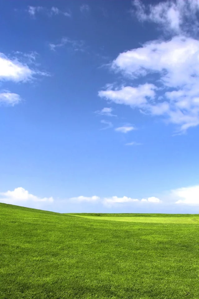 Луга