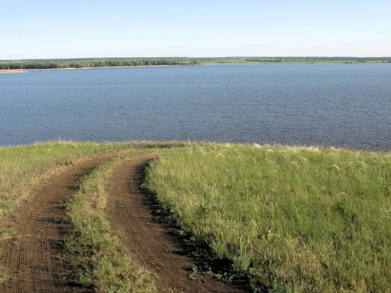 Берег реки