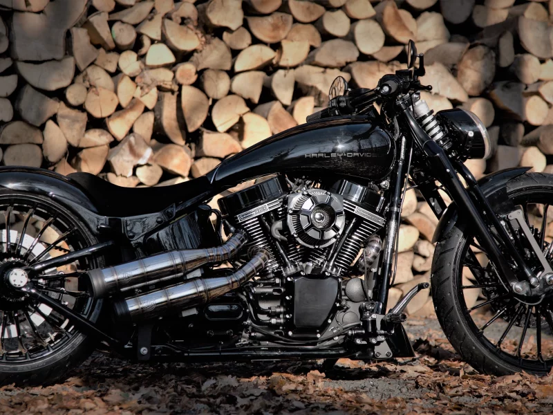 Harley