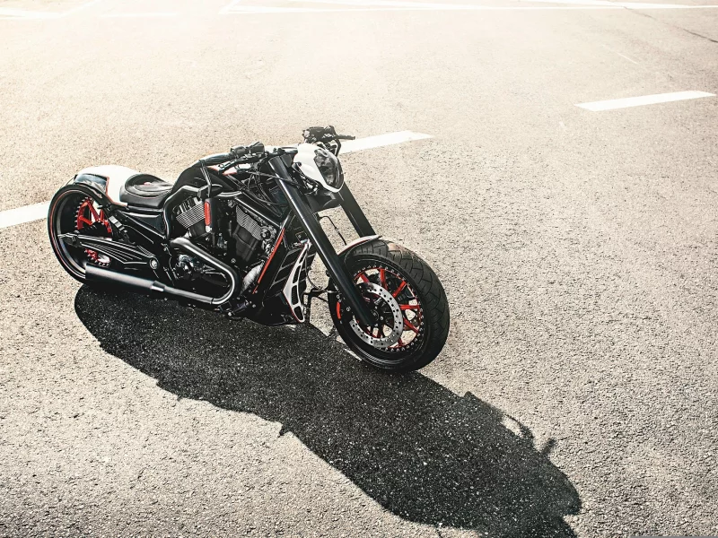 Harley