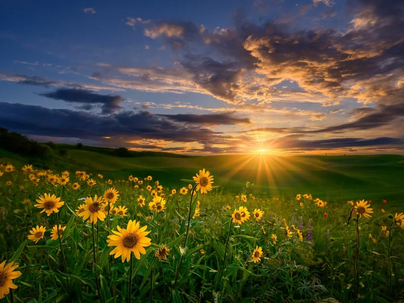 природа