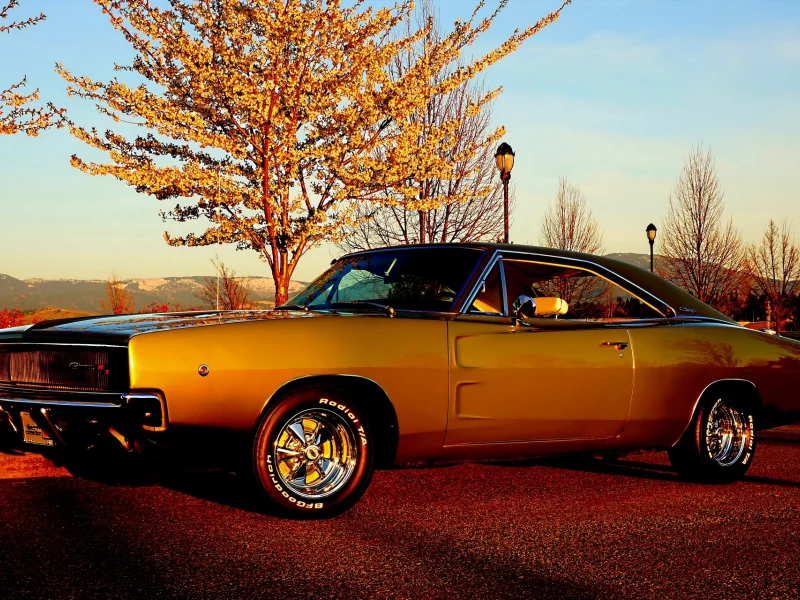 Dodge