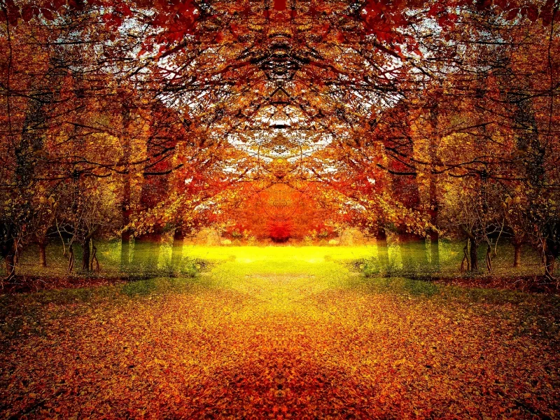 природа