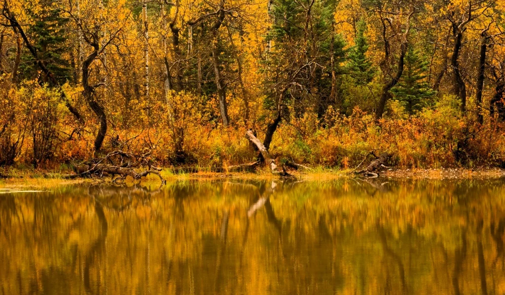 Осень