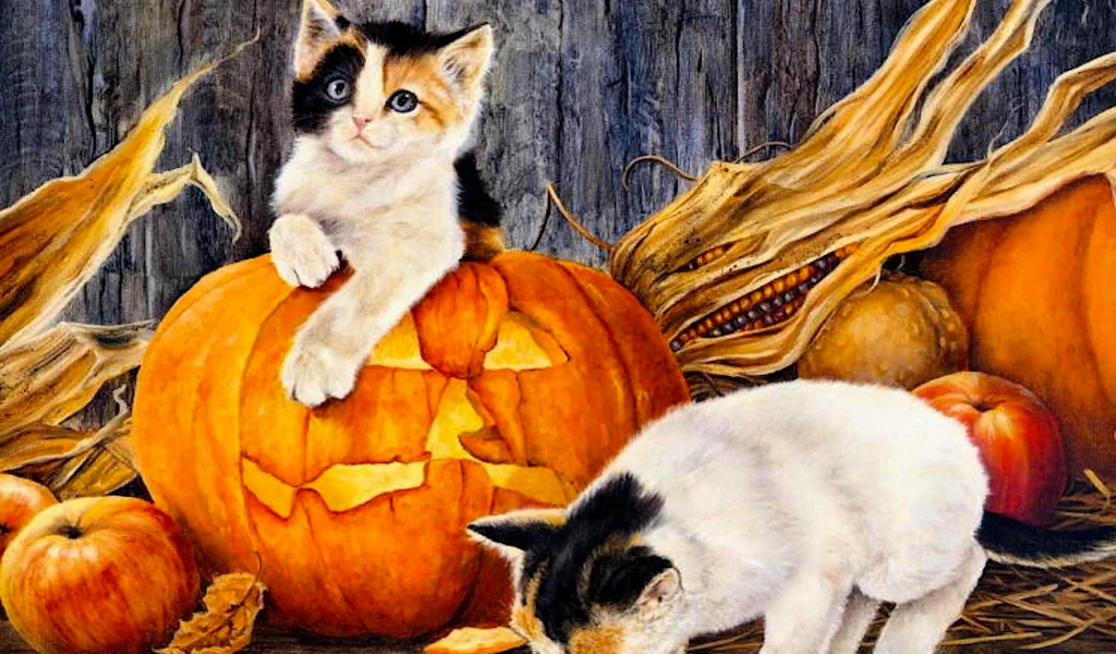 Котята