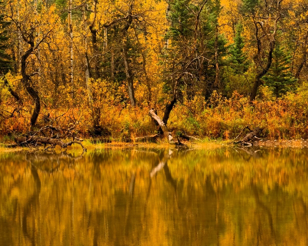 Осень