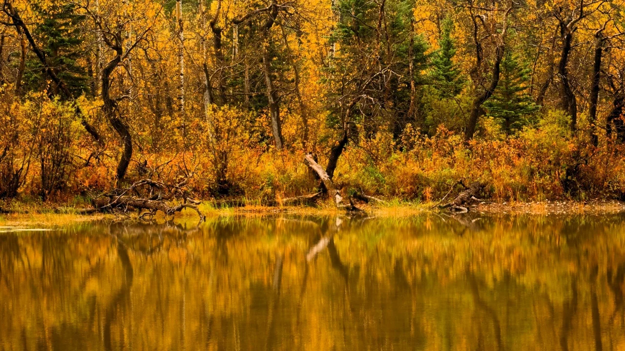 Осень