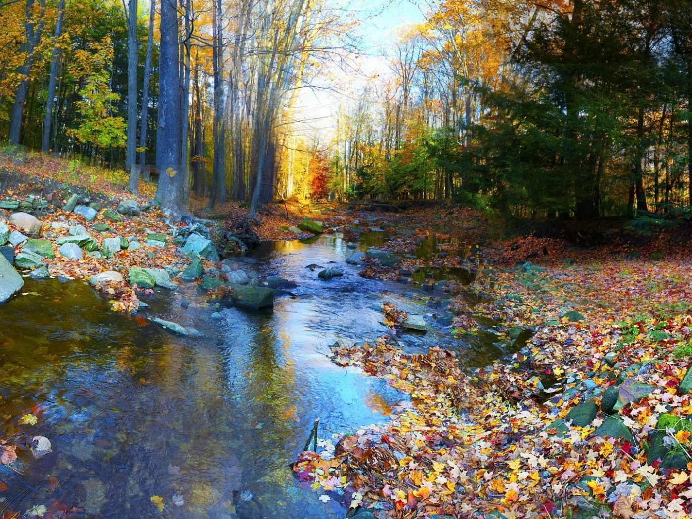 осенний пейзаж