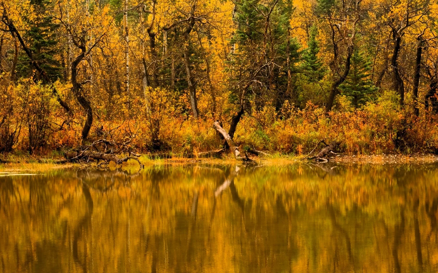 Осень