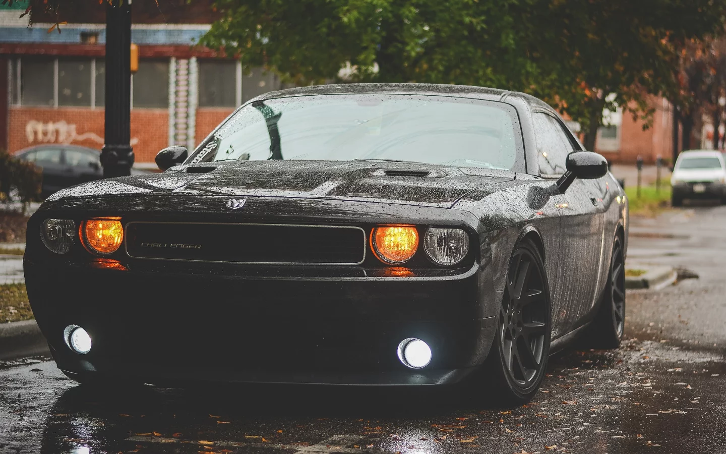 авто