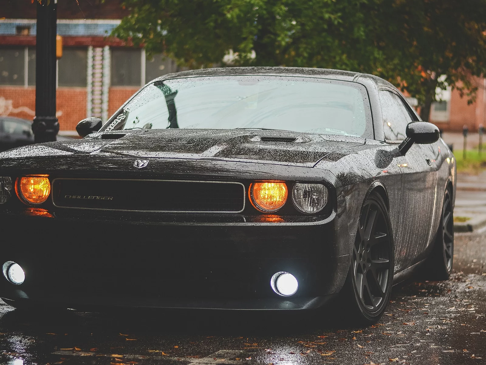 авто