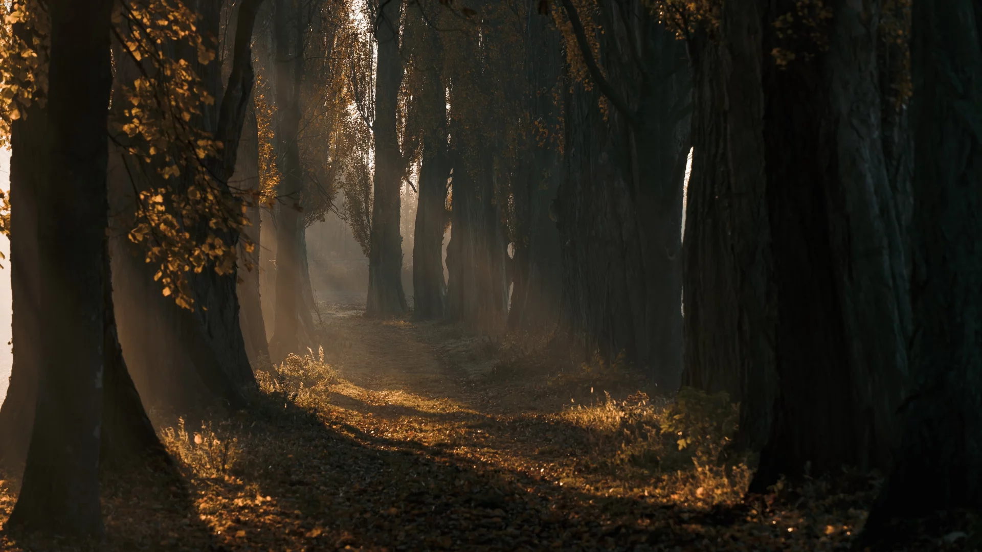 природа