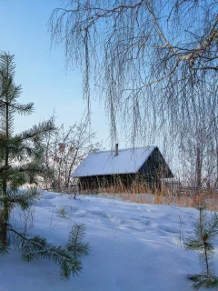 зимний пейзаж