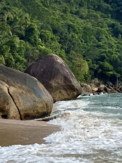 море