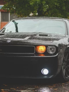 авто