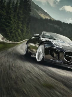 авто