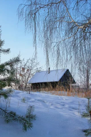 зимний пейзаж