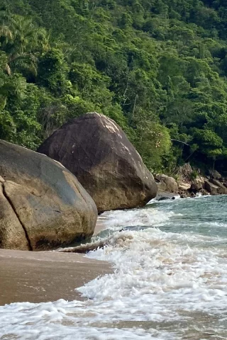 море