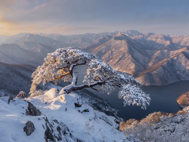 зима