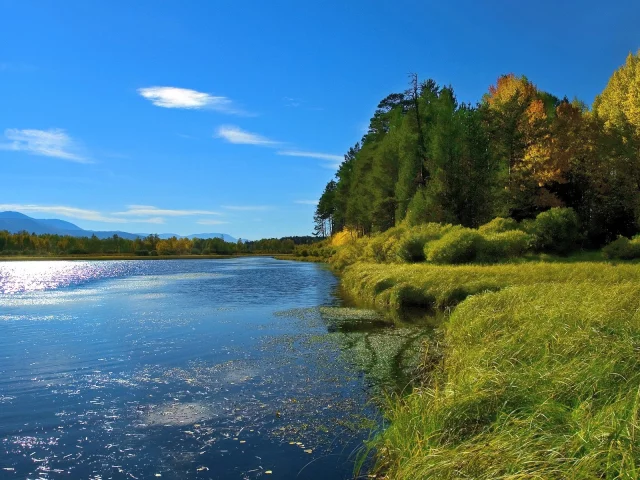 Река
