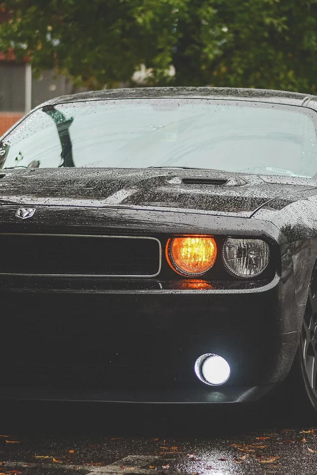 авто