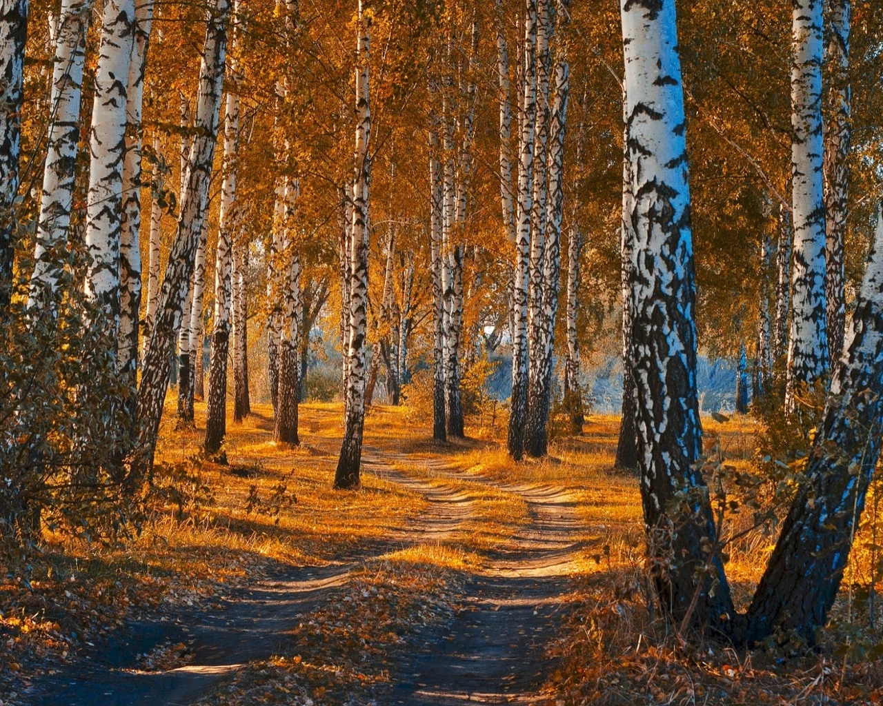 осень