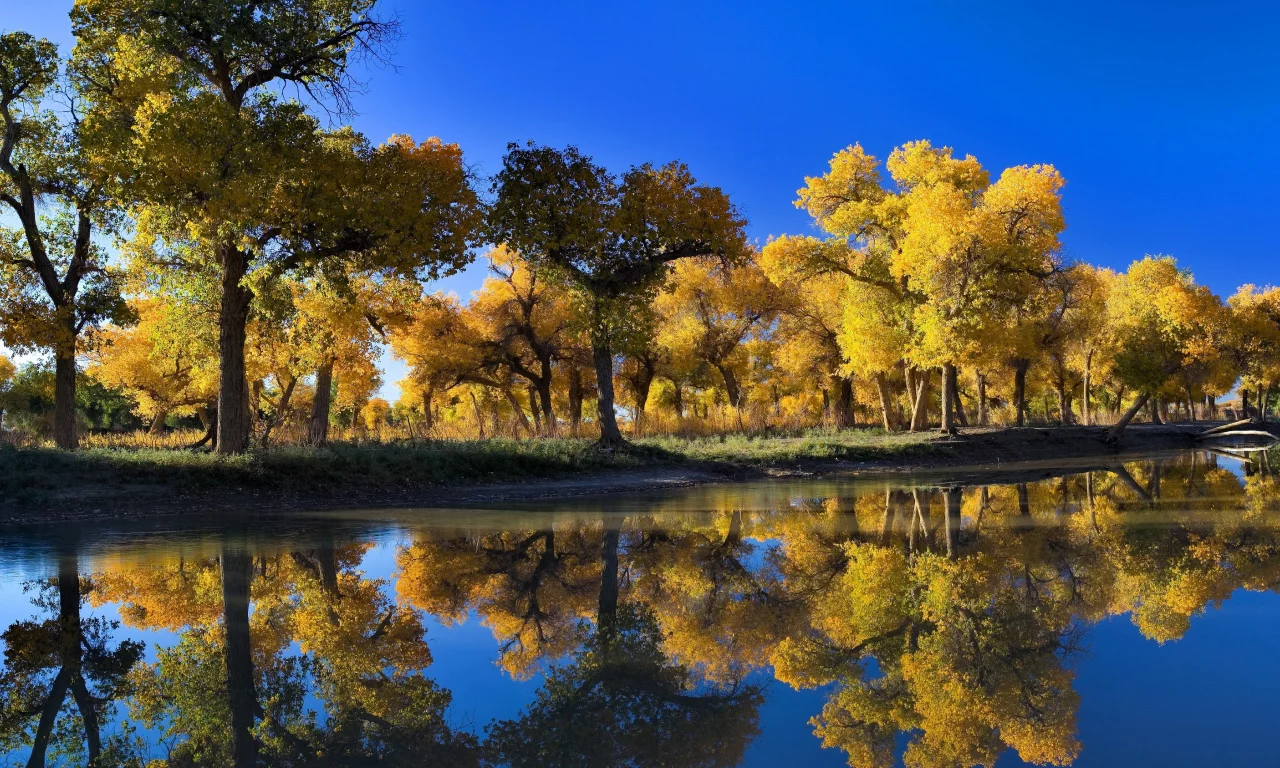 Осень