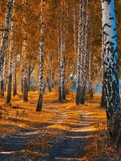 осень