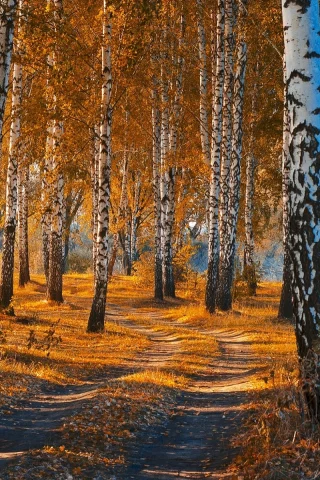 осень