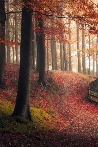 Парк