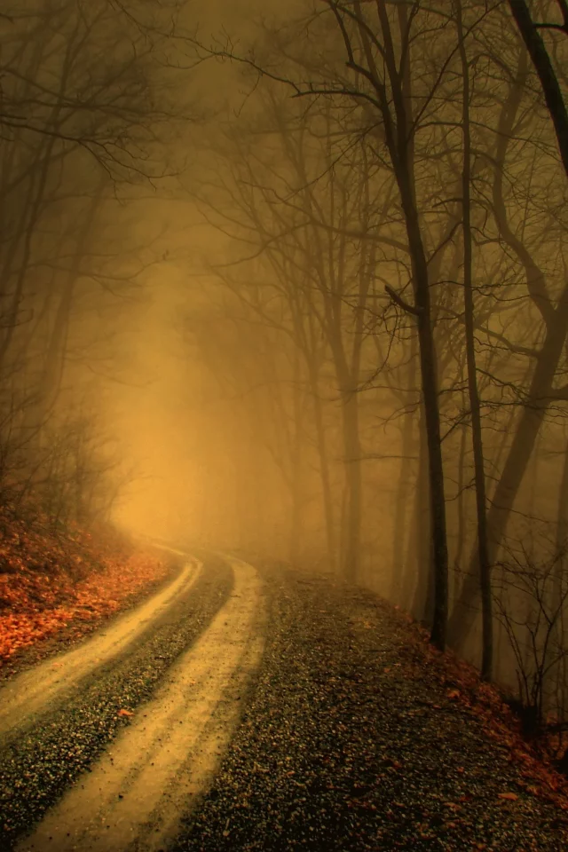 природа