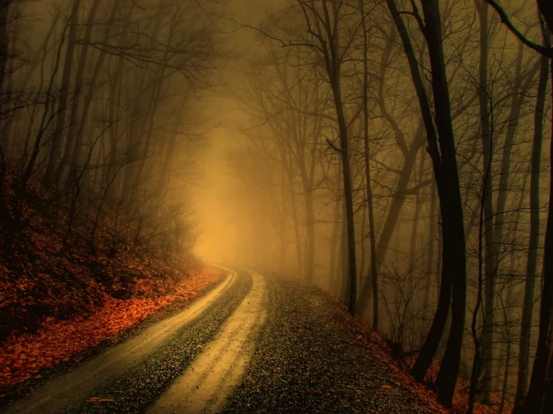 природа