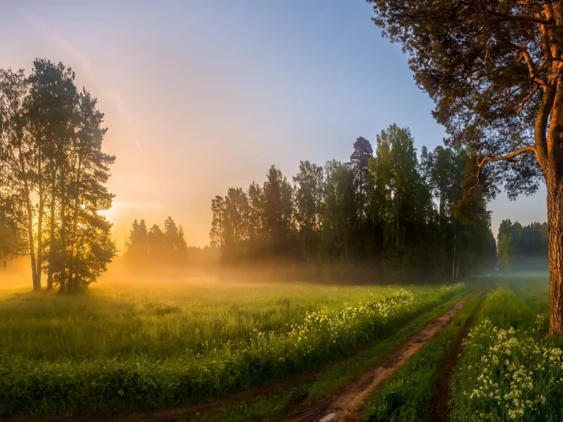 природа