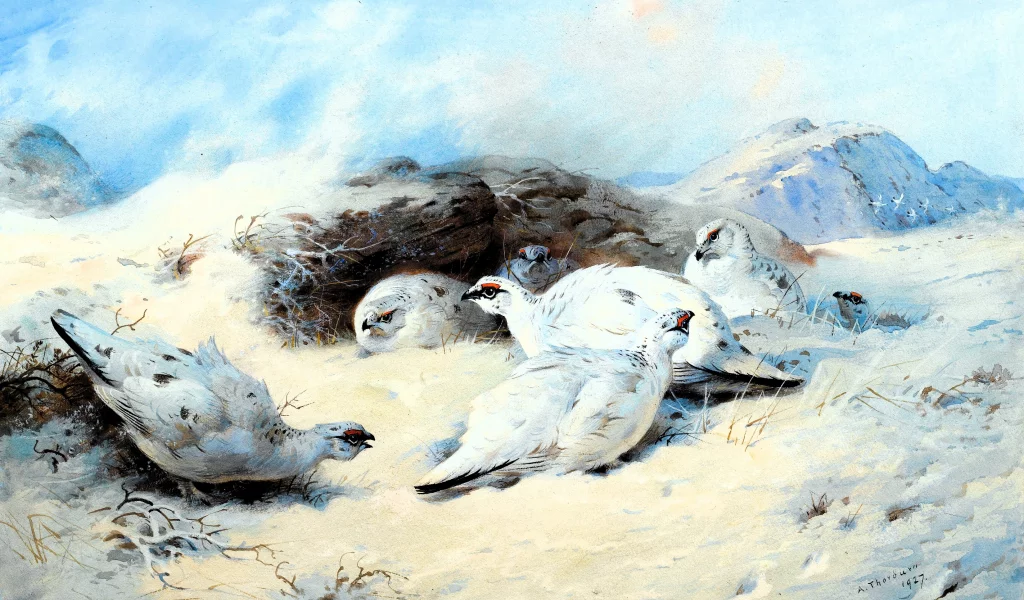 Archibald Thorburn