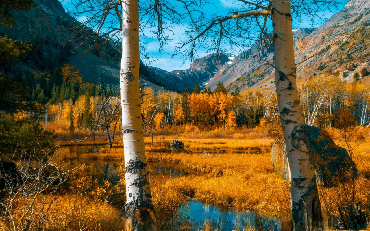 Осень