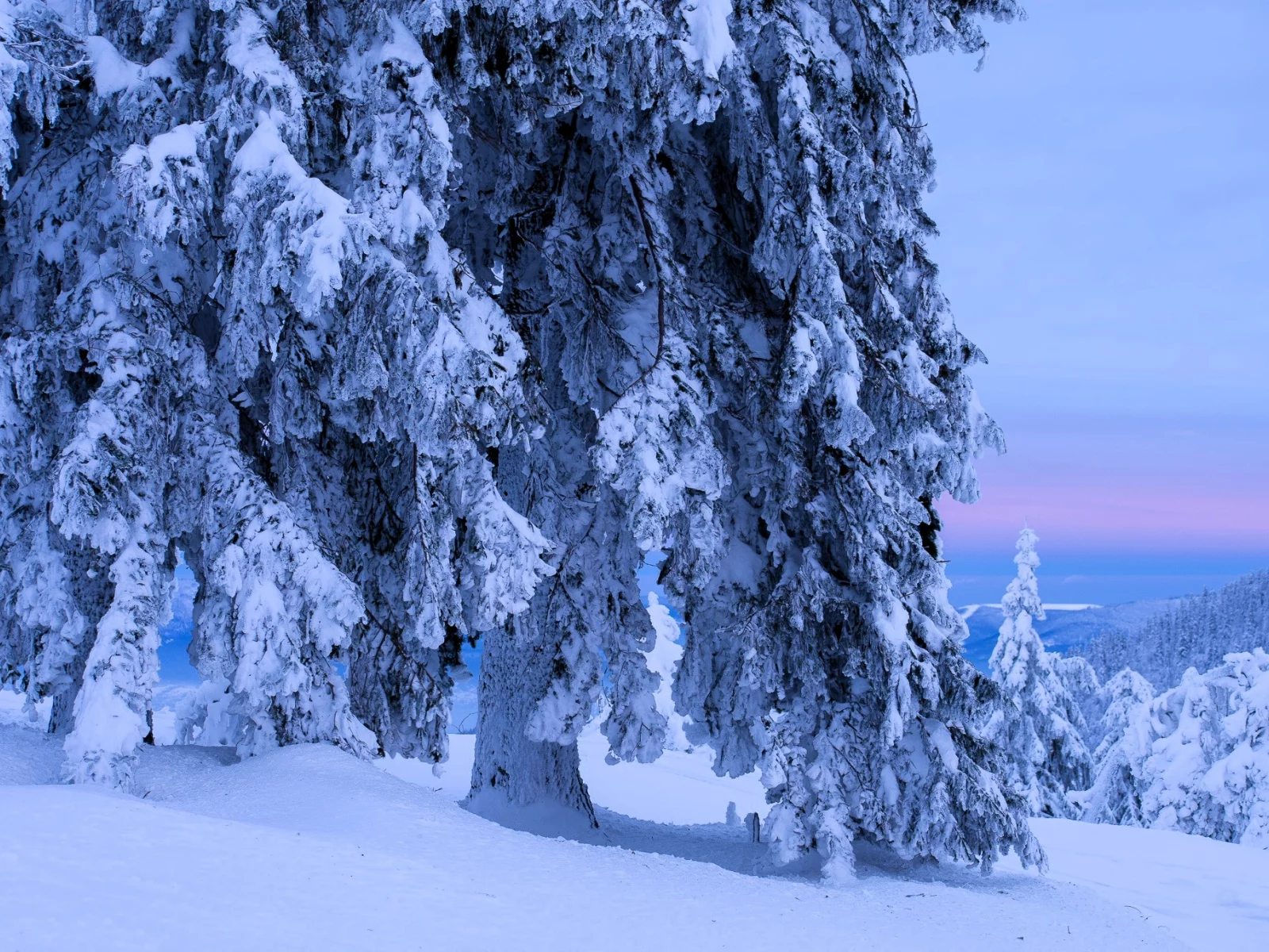 Зима