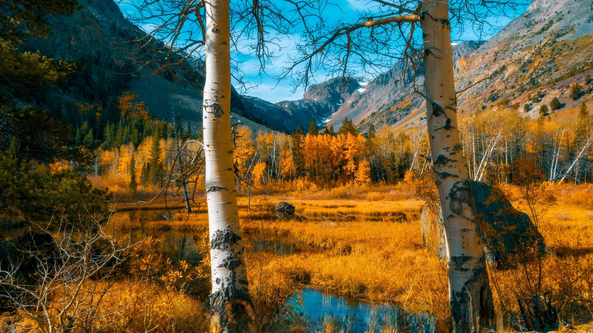Осень