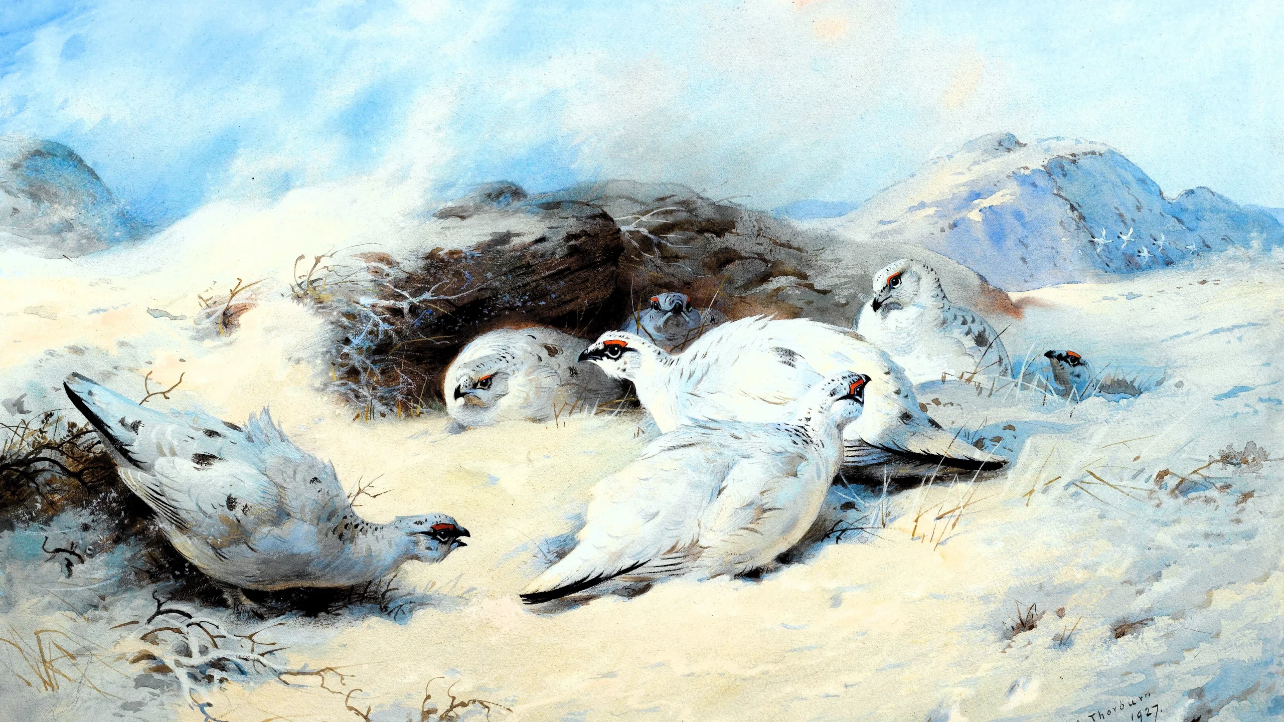 Archibald Thorburn