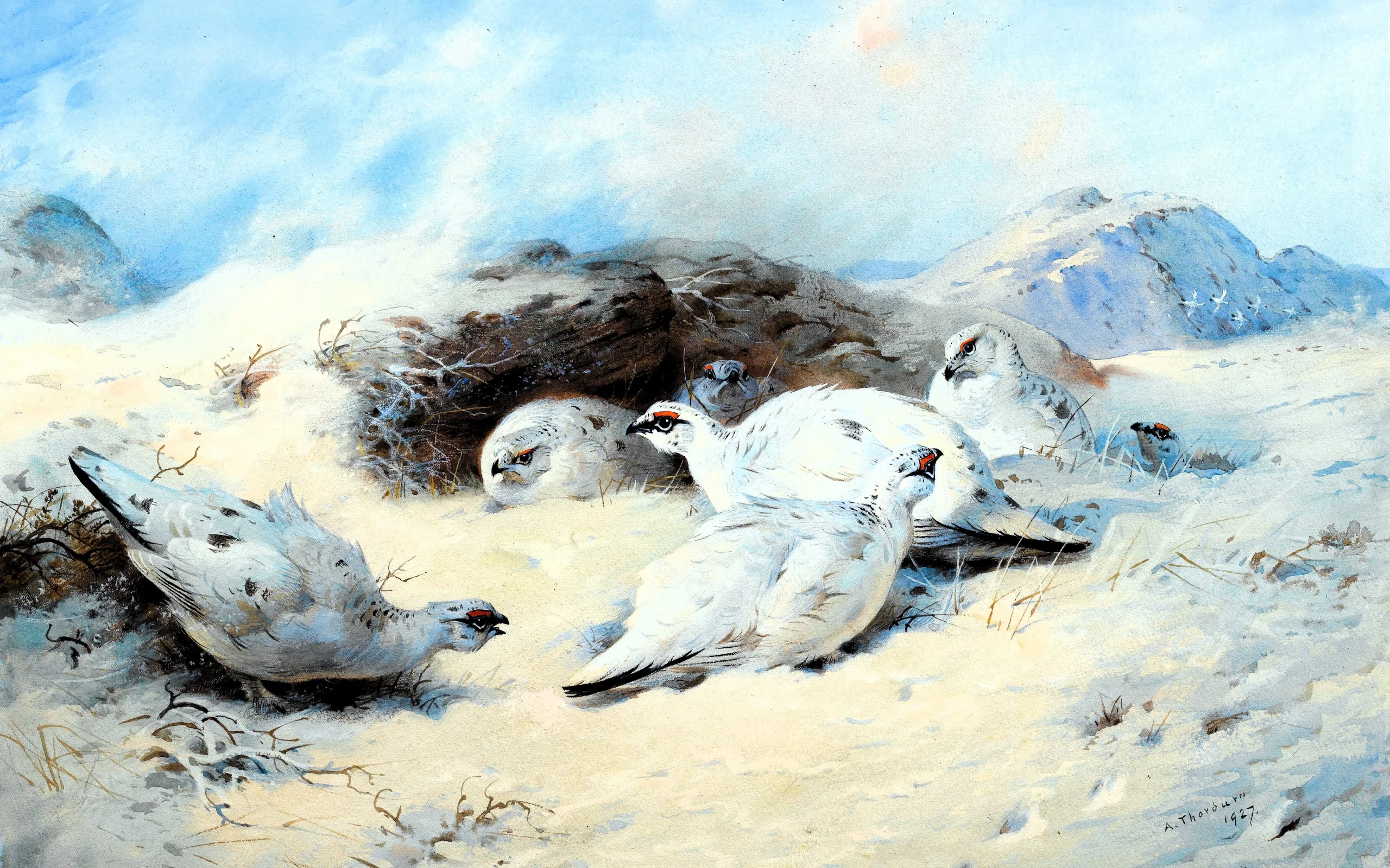 Archibald Thorburn