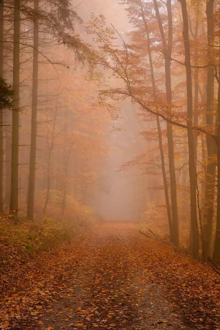 природа
