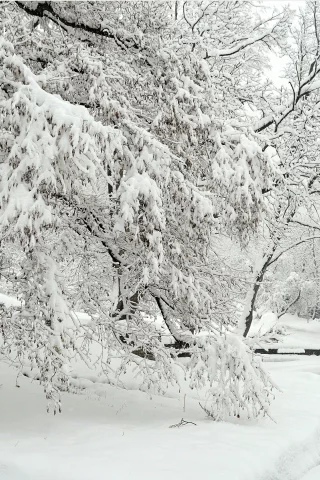 Зима