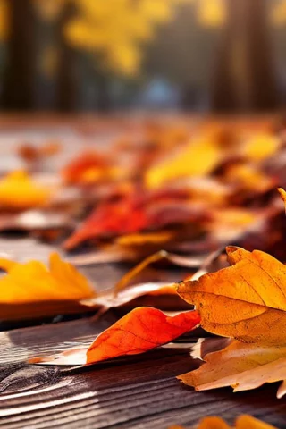 природа