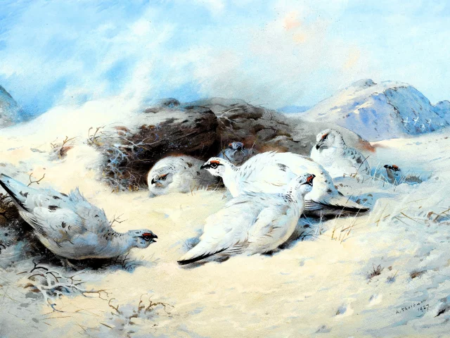 Archibald Thorburn