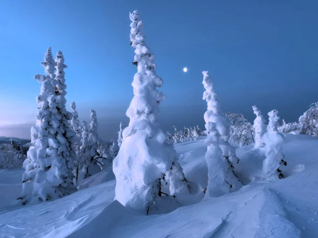 Зима